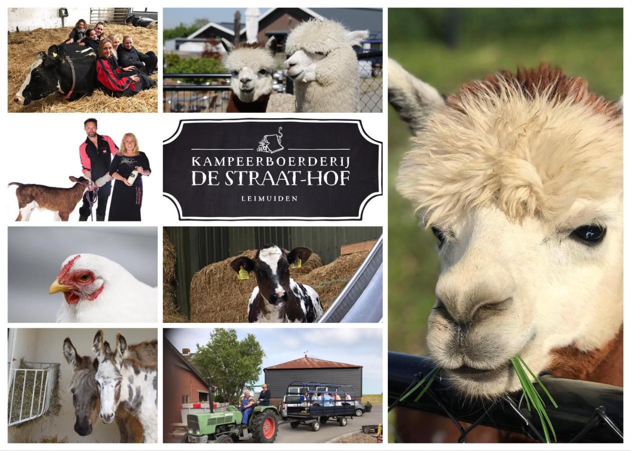 Herberg Boerderij De Straat-Hof Bed & Breakfast Leimuiden Exterior photo