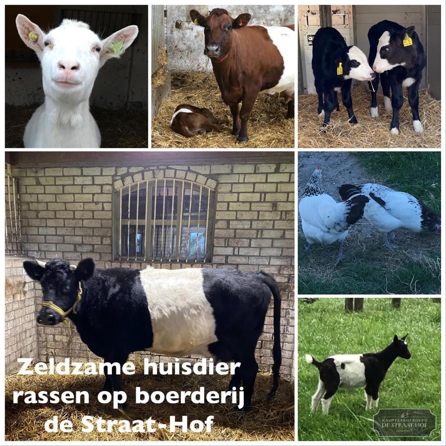 Herberg Boerderij De Straat-Hof Bed & Breakfast Leimuiden Exterior photo